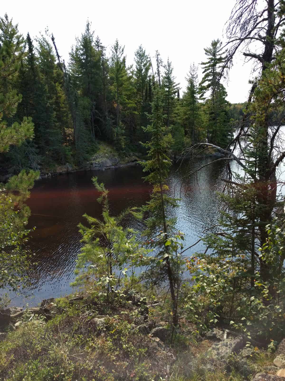 View of Oslo Lake shoreline from the Trail