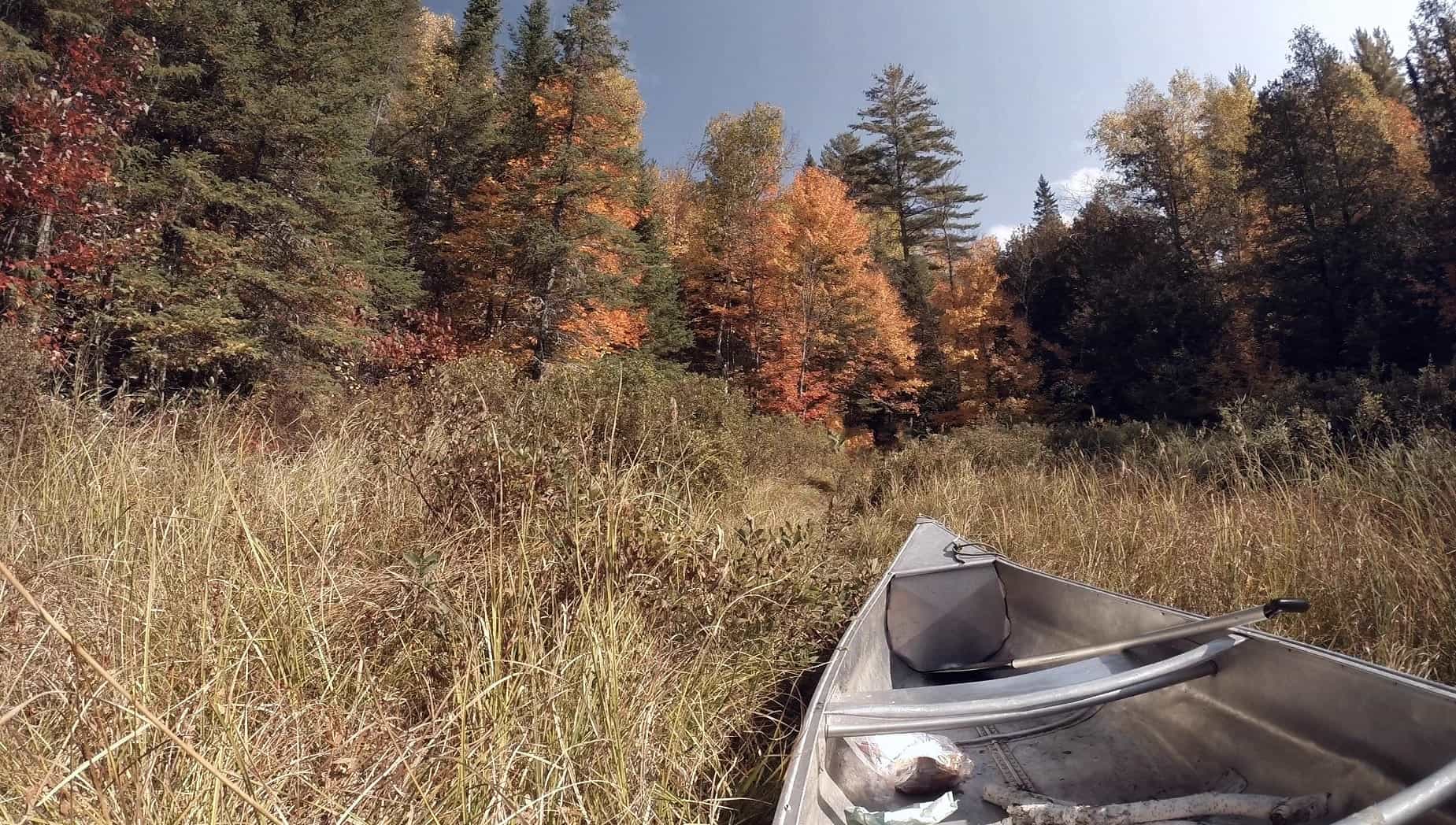 Quill Lake Trail in Voyageurs National Park