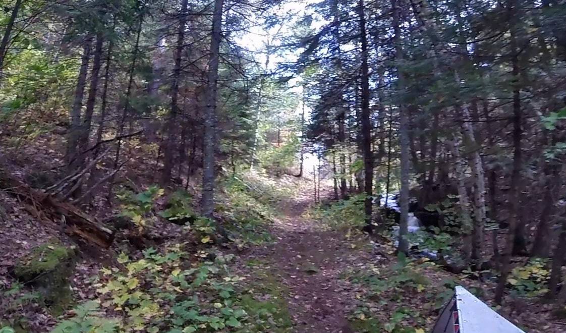 Quill Lake Portage Trail Stream
