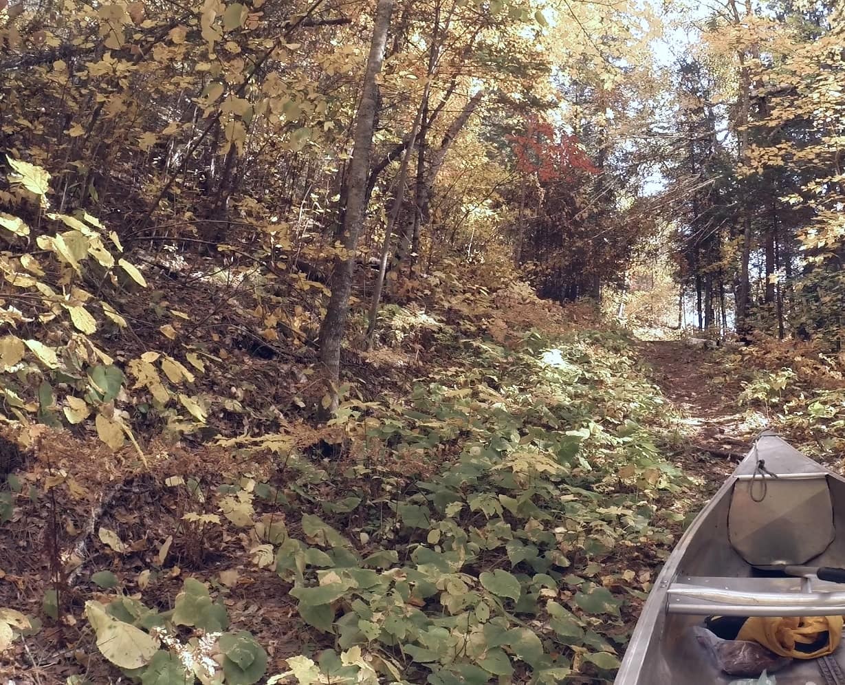 Quill Lake Trail in Voyageurs National Park
