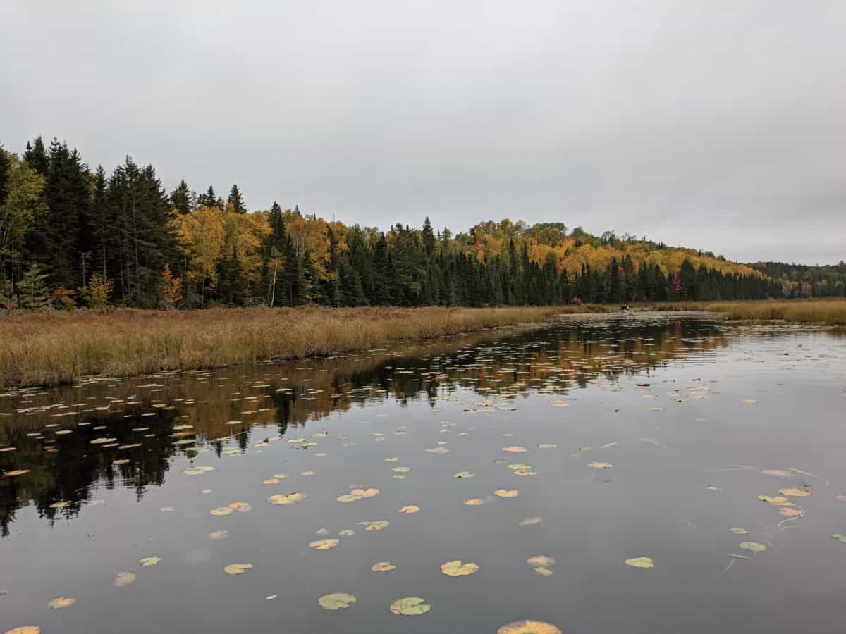 Quill Lake to Warclub Lake canoe waterway