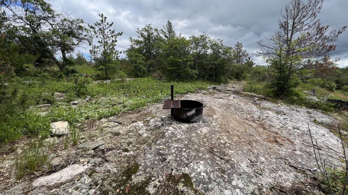 H2 Blueberry Ridge primitive campsite view looking into campsite core area of the fire ring on rocky out cropping and tent area on short grassy patch on ridge with rugged trees in the background.