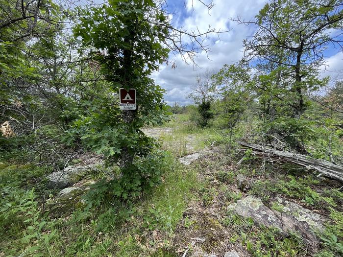 H2 Blueberry Ridge primitive campsite spur trail off Kab-Ash trail with a campsite sign on tree. Rugged trees and rocky outcropping are along trail and in background.
