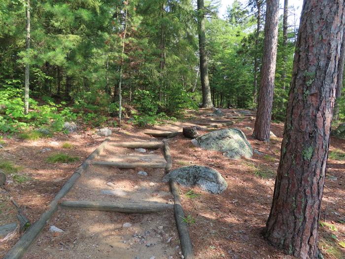 S11-B Main trail connecting to campsites