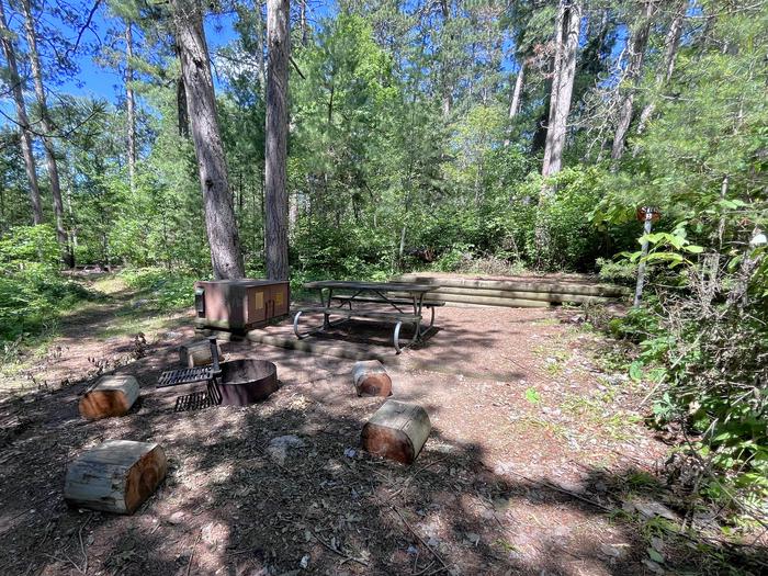 S11-B King Williams Narrows Campground (Site B) view into campsite core of the fire ring picnic table bear locker and tent pad with greenery in the background