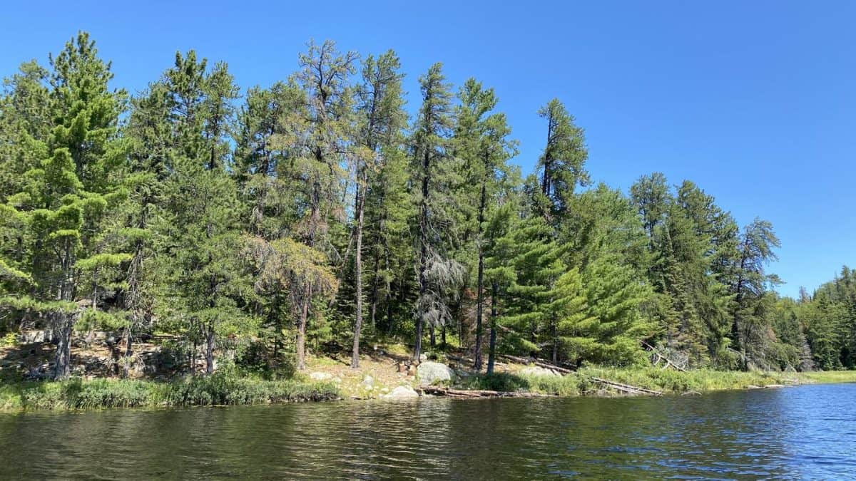 B17 View of War Club campsite from the water
