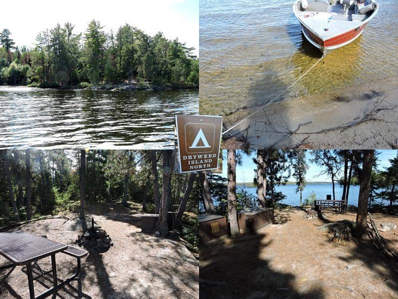 Dryweed Island North